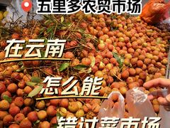 -五里多农博广场