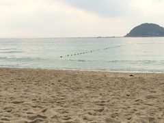 -西涌国际滨海旅游区