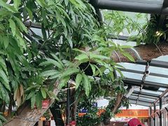 -海岛八号龙虾烧烤田鸡(蓝天路总店)