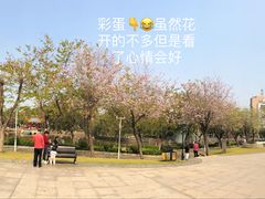 -金砂公园