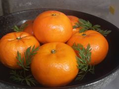 -滨河味道(北大街店)