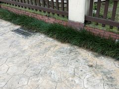 -洪湖家庭农场·团建·露营·会议