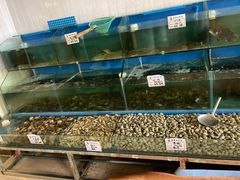 水产区-前王院•巧克力海鲜市集餐厅(万平口店)