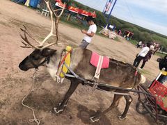 -塞罕坝国家级自然保护区