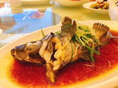 -金翠皇宫粤菜·点心·海鲜(科技园店)