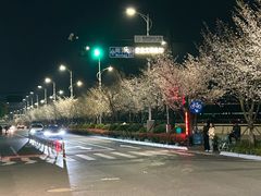-黄鱼炙夜·烧烤·小龙虾(世茂缤谷店)