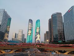 -合景·悠方(成都店)