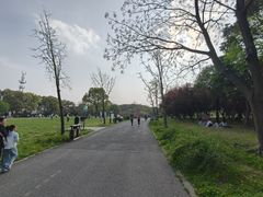 -蜀冈西峰生态公园