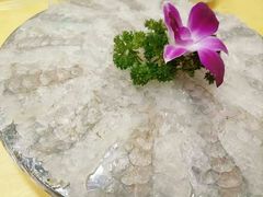 -官塘陈记鱼生·潮汕砂锅粥·牛肉火锅(潮枫路总店)