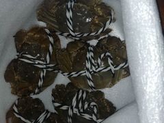 -七的湖·晚芳亭·阳澄湖农家菜·大闸蟹(莲花岛店)