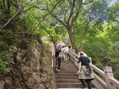 -灵岩山风景区