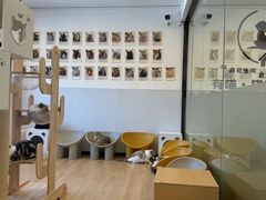 -有喵·猫咖·狗咖·30几只猫10只小狗(岗厦店)