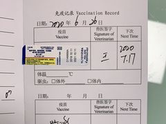 -宠福鑫康馨动物医院·骨科·眼科