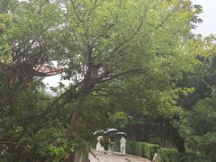 -烟台山景区