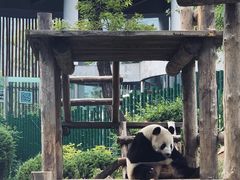 -大连森林动物园