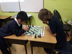 -常青藤国际象棋(新奥店)