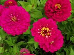 -帽儿山国家森林公园