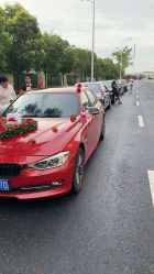 -蚂蚁婚车