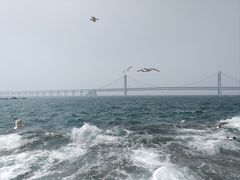 -星海广场
