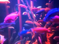 -沈阳海洋探索中心