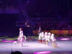 -灵玲国际马戏城