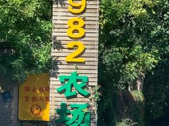 -1982农场