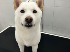 -comecome来吧宠物(奥克斯中心店)