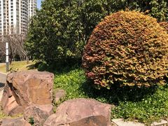 -苏州河梦清园环保主题公园