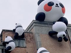 -西安电影制片厂