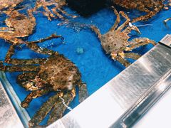 -盒马鲜生(龙德广场店)