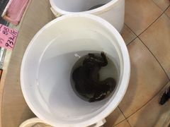 -荔城生鲜盛宴(番禺旗舰店)