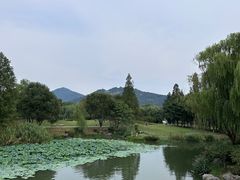 -牛New寿喜烧(金茂览秀城店)