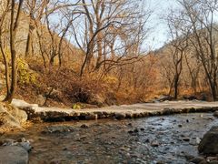 -玉渡山自然风景区