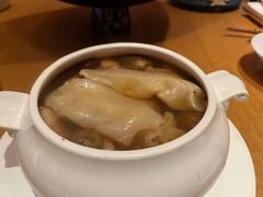 -广州富力君悦大酒店空中花园