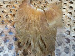 -大中鱼翅 Taitong Shark Fin