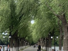 -北陵公园