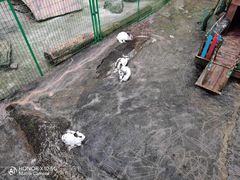 -呀诺达热带雨林