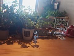 -ZING COFFEE 镜咖啡