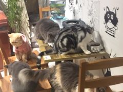 大堂-小时光咖啡馆(开森度假森林店)