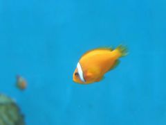 -福州罗源湾海洋世界旅游区