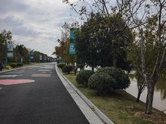 -漩门湾国家湿地公园