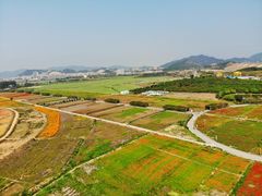 -光明小镇欢乐田园