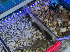 -金海湾海鲜排档(朱家尖店)