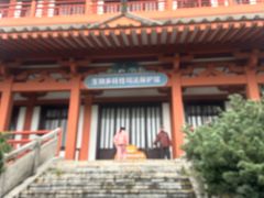 -鸡鸣汤包(红山动物园店)