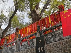 -大槐树寻根祭祖园