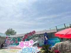 -曹州牡丹园