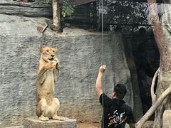 -清迈夜间动物园
