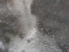 -上海市普陀区中心医院