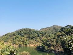 -梧桐山风景名胜区