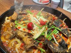 -老板恋上鱼(恒隆广场店)